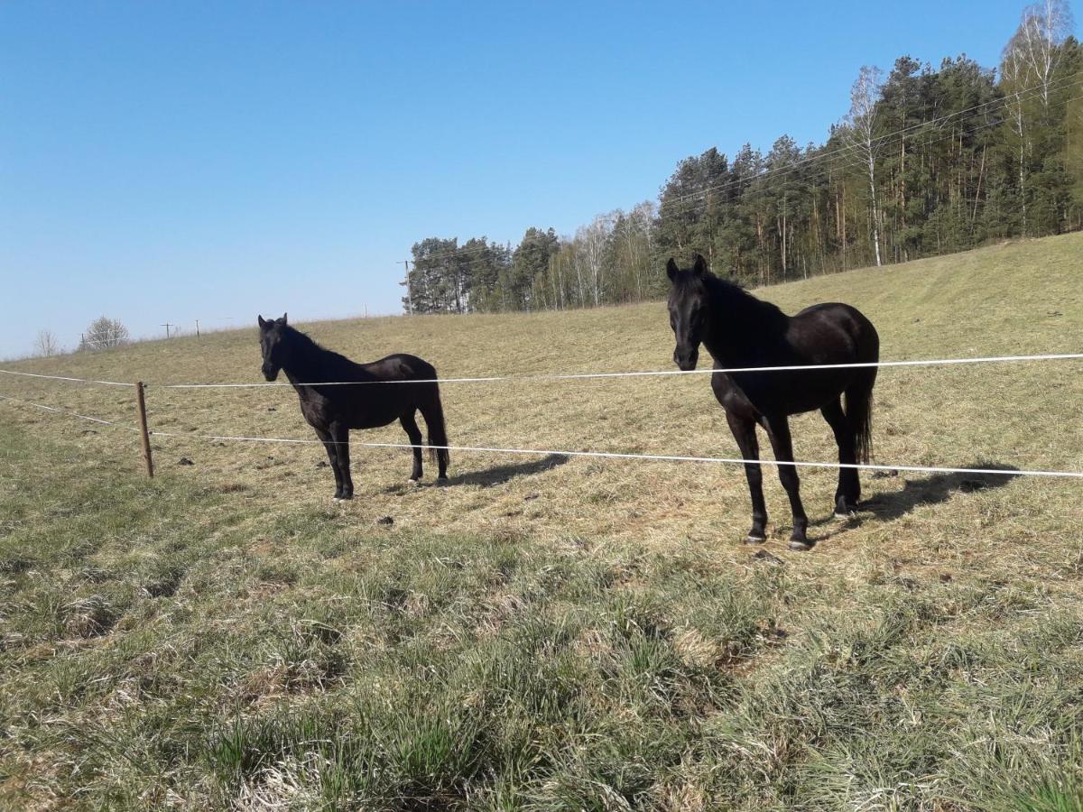 Apartamenty Lubiewo Mikołajki المظهر الخارجي الصورة